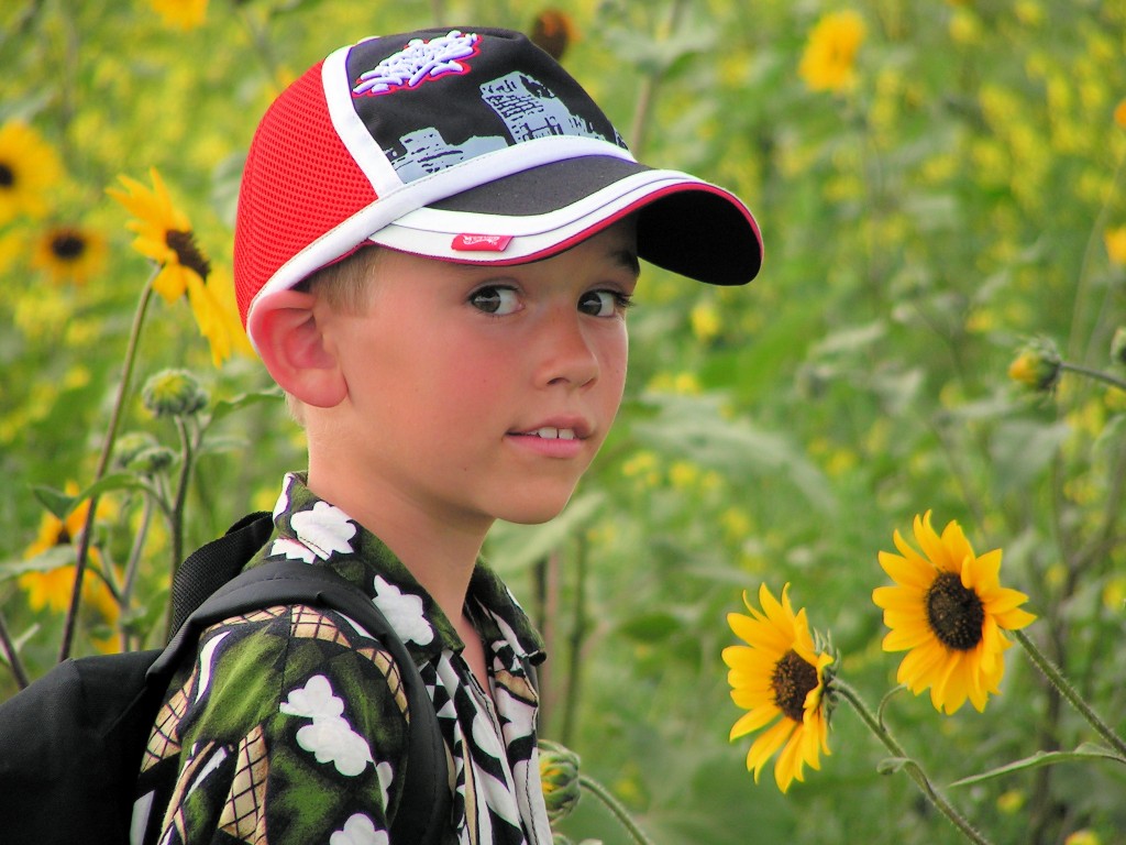 A boy in a field of sunflowers.