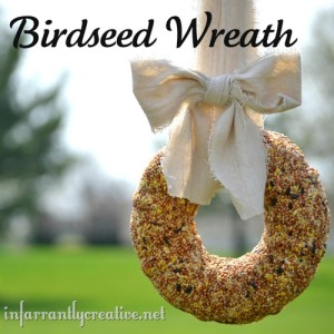 birdseed-wreath_thumb